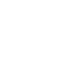 Faktor
