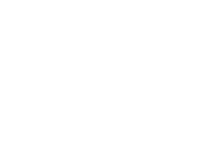 Simurg Media